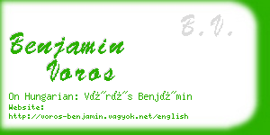 benjamin voros business card